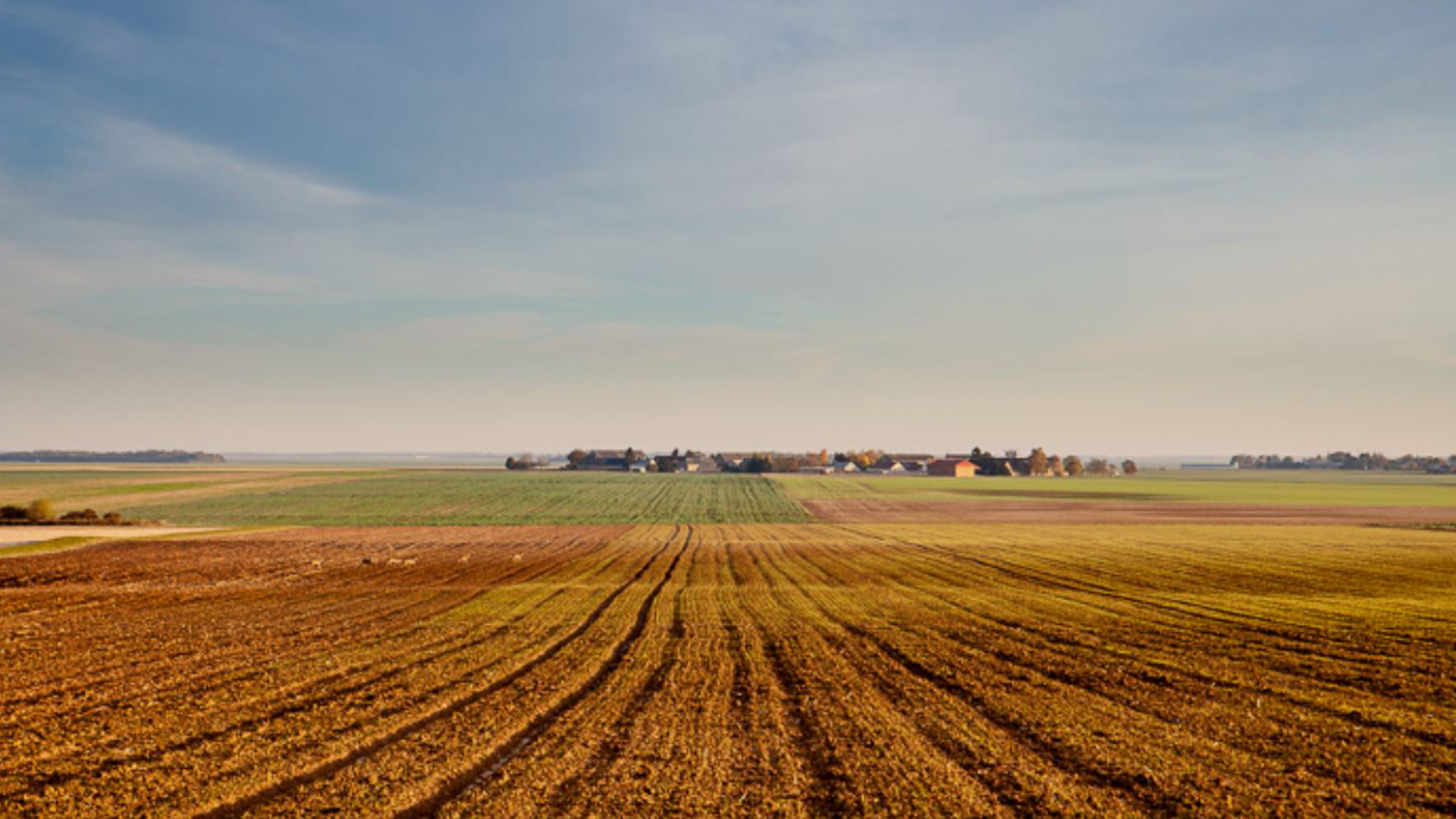 La plaine PULP FILMS